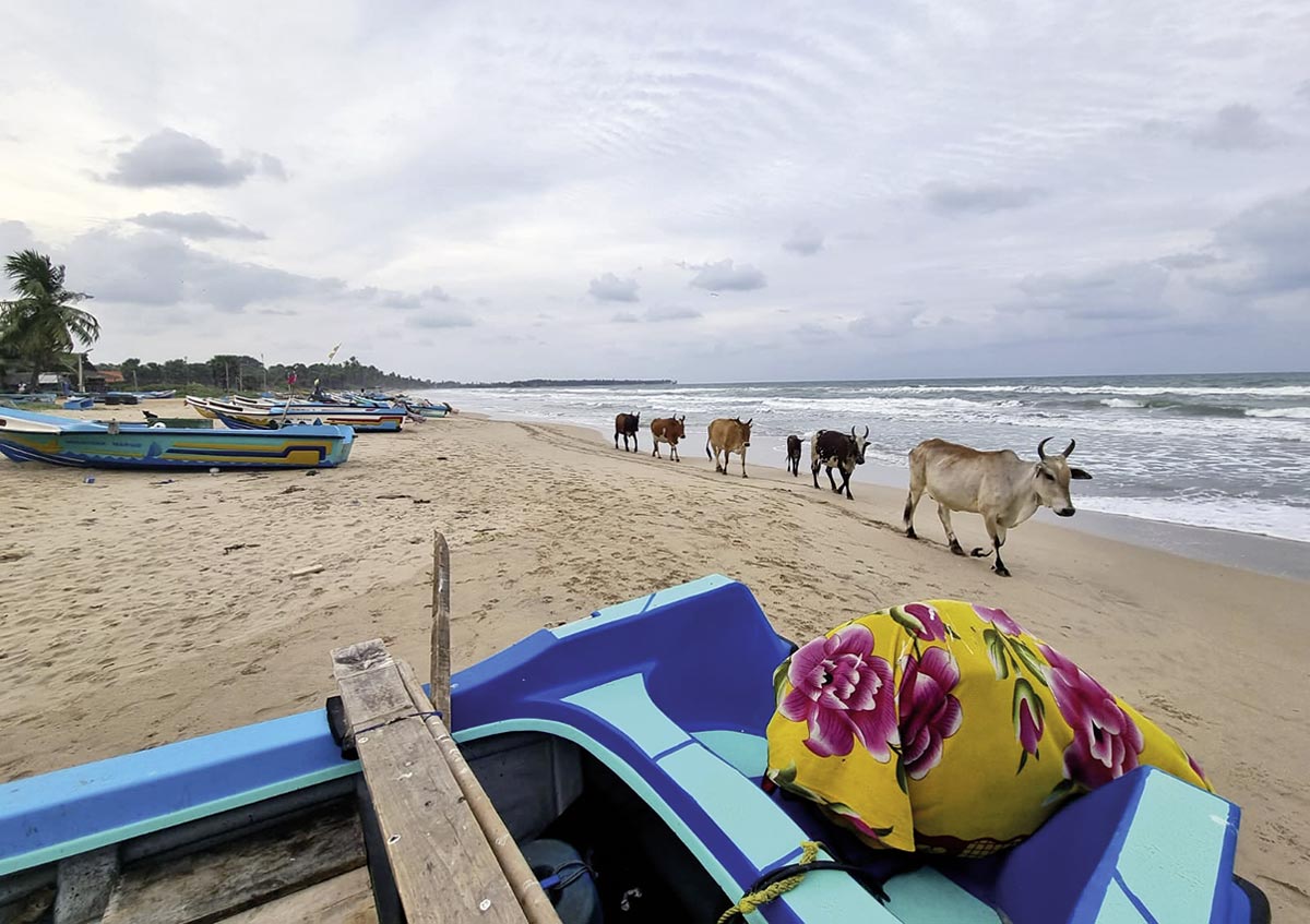 Sri Lanka - Begegnung am Strand