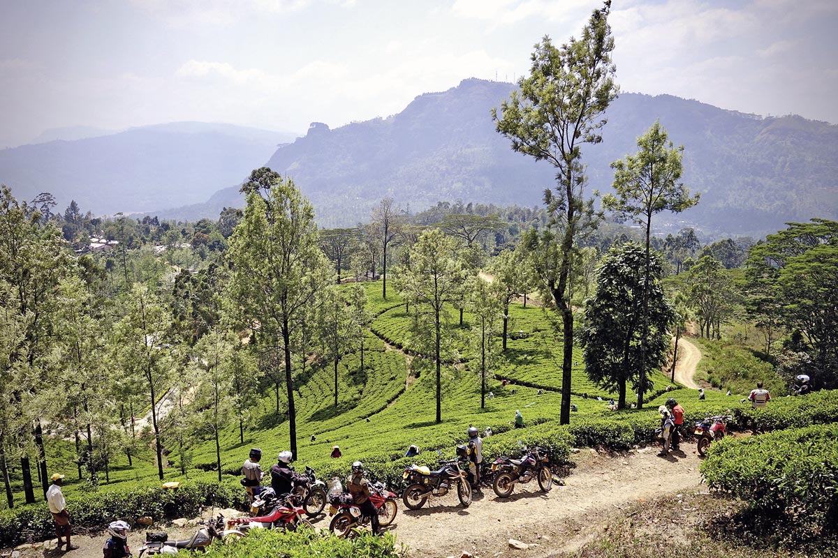 Motorradtour Sri Lanka - Besichtigung einer Teeplantage