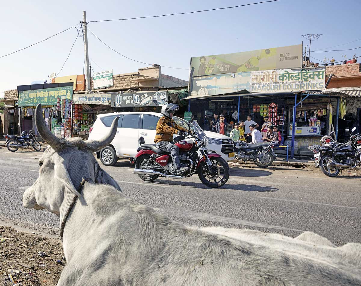 Heilige Kühe und coole Motorräder - Präsentation der Super Meteor in Indien