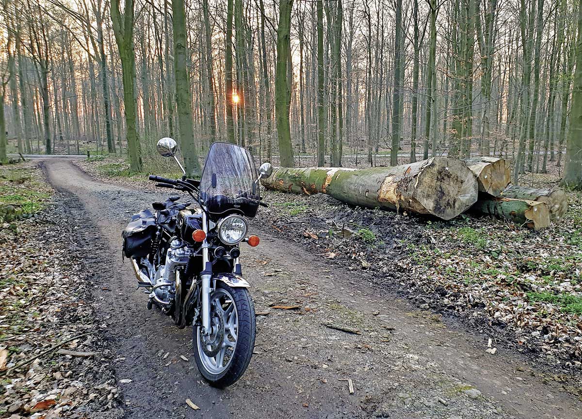 Die Honda macht zu der Jahreszeit Spaß