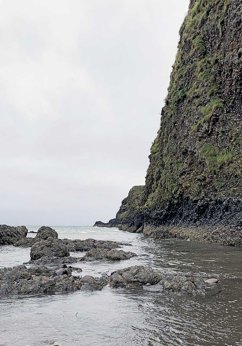 Klippen bei Stonehaven