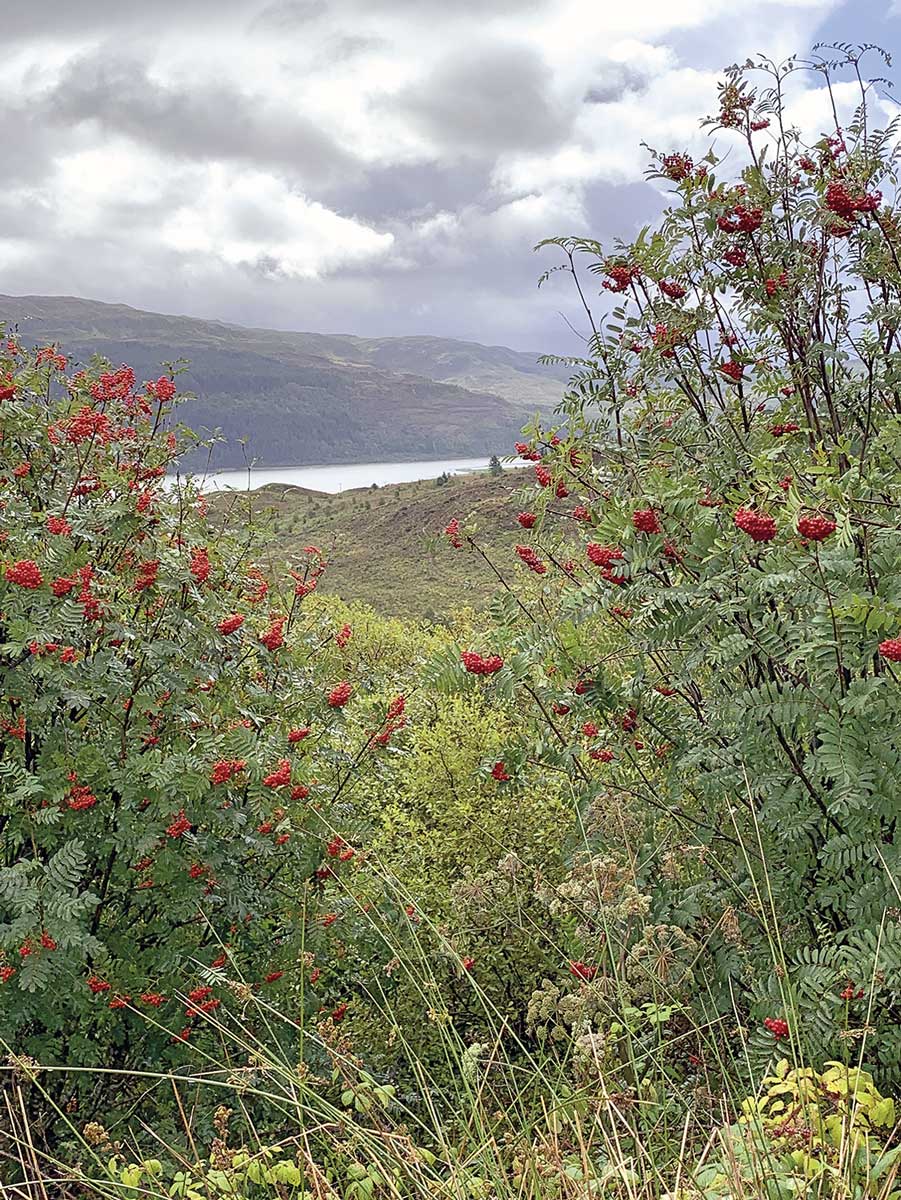 Schottland lohnt sich auf jeden Fall